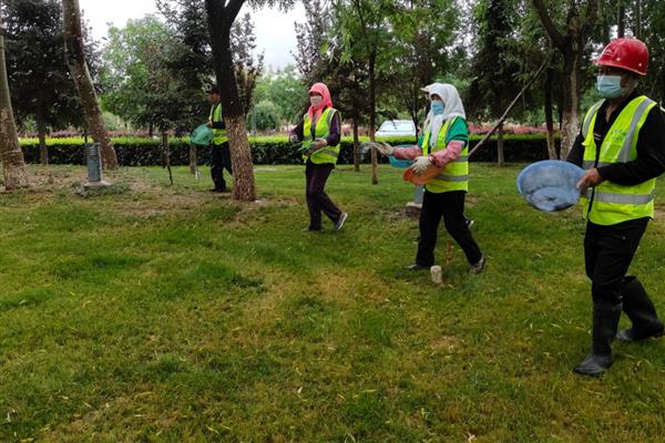 撒复合肥没下雨多久会失效,90天左右就会失效