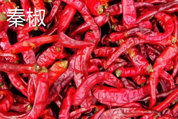 秦椒与二荆条辣椒的区别，外观和口感均不同