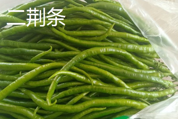 秦椒与二荆条辣椒的区别，外观和口感均不同