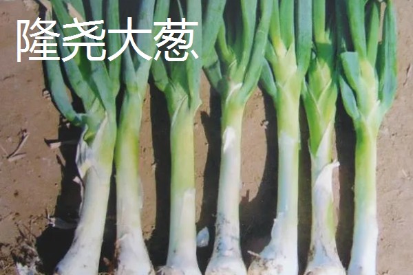 河北邢台市的特产，有宁晋鸭梨、雪花梨等