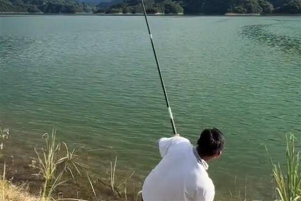刚开春如何快速钓鲤鱼，在回水湾、深滩等位置作钓