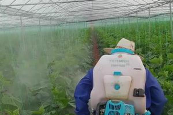 肟菌酯有哪些注意事项,一定要远离水产养殖区