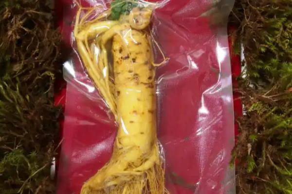 人参的雅称,有黄参、神草、土精等