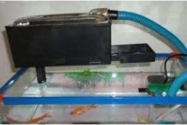 水族箱用什么颜色的灯,用白色的灯比较好