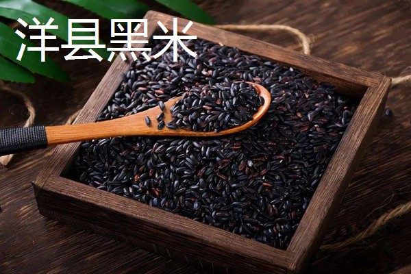 黑米的产地，有东北黑米、陕西黑米等