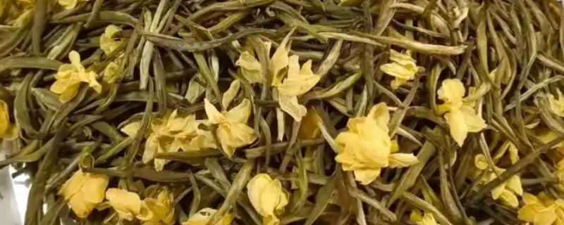 茉莉花茶属于哪种茶，属于花茶
