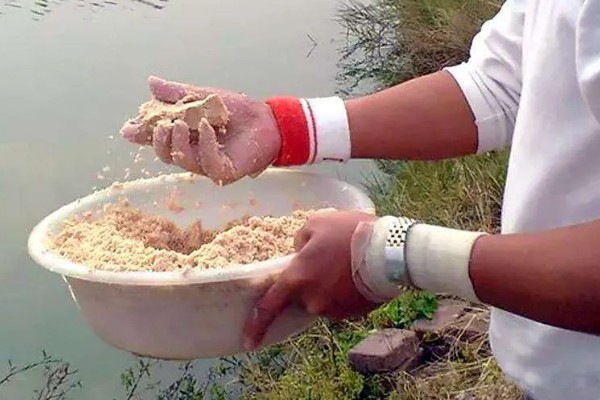 怎么野钓黄颡鱼,可用手竿作钓
