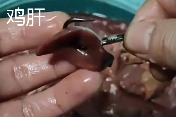 怎么野钓黄颡鱼,可用手竿作钓