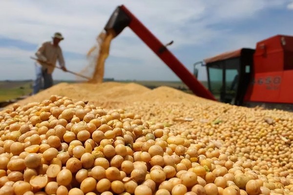 中国进口美国的大豆量,2024年进口量约2213.4万吨