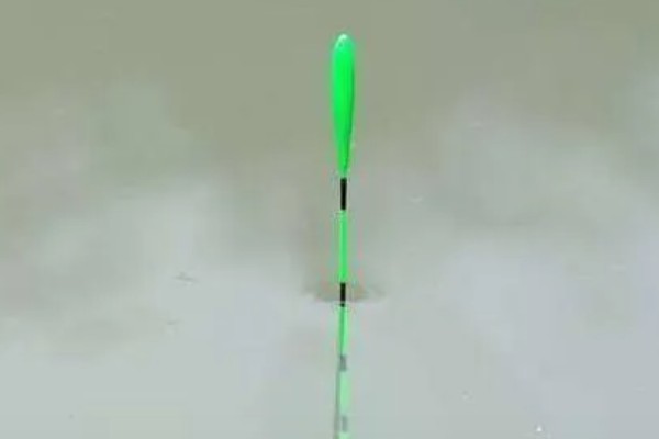 黑坑钓鲤鱼用吃铅多大的漂，根据鲤鱼的体型而定