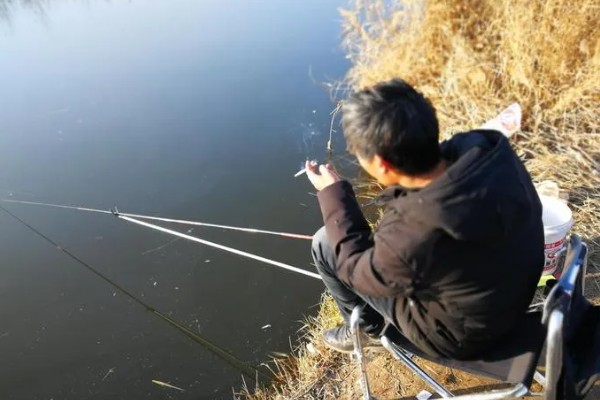 冬天20度好不好钓鱼,钓浅比较合适
