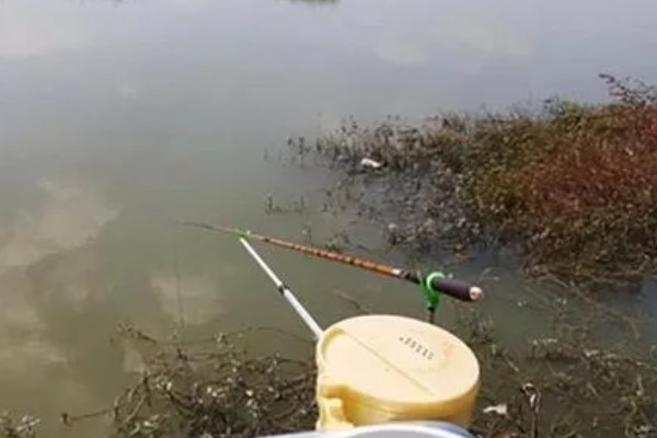 冬天20度好不好钓鱼,钓浅比较合适