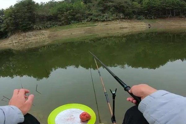 冬天20度好不好钓鱼,钓浅比较合适