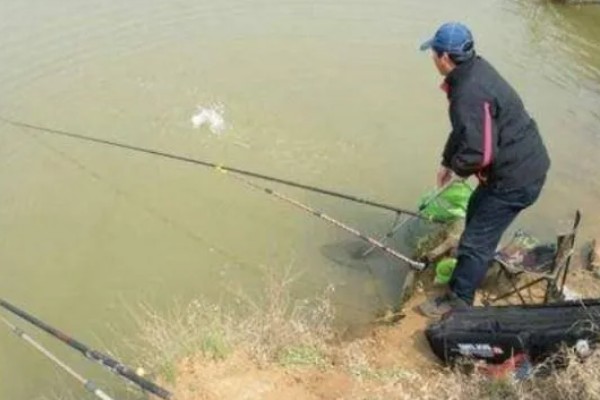 冬天20度好不好钓鱼,钓浅比较合适