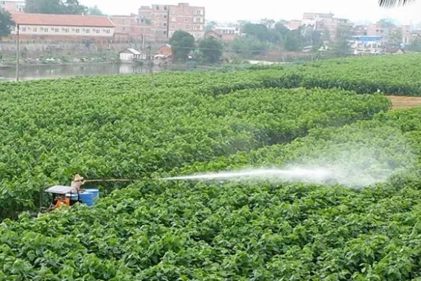 除草剂对后茬作物有什么影响,不同种类的影响不同