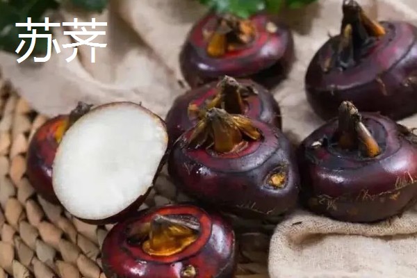 荸荠的产地,原产于印度