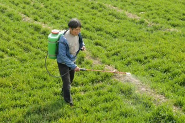 除草剂对后茬作物有什么影响,不同种类的影响不同