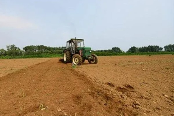 什么是玉米出苗率，田间出苗率等于田间苗数乘以播种粒数