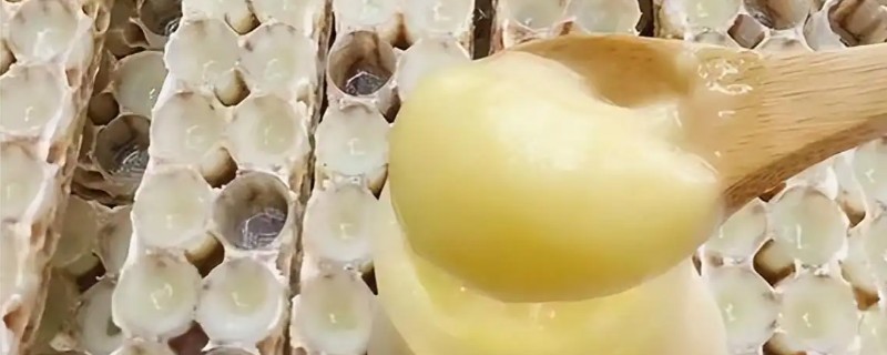 蜂王浆的食用方法，放在舌头下含服或用温水送服