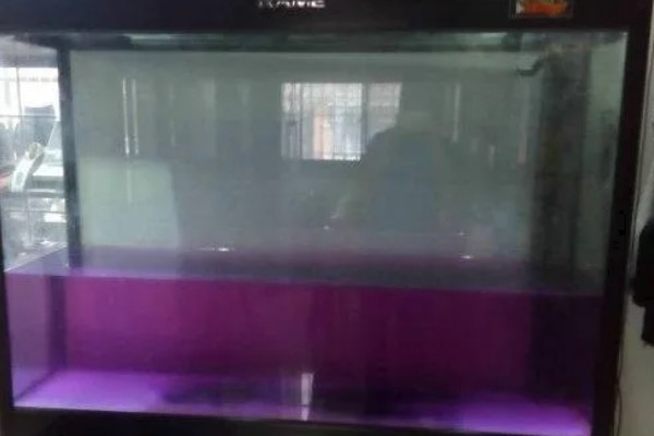 鱼缸清洗的方法,用刮藻刀清理缸壁的污垢和藻类