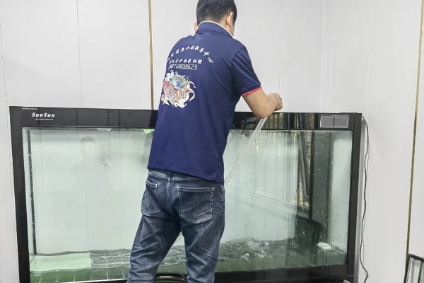 鱼缸清洗的方法,用刮藻刀清理缸壁的污垢和藻类