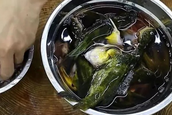 黄骨鱼的清洗方法,撒上面粉再揉搓可以洗净粘液