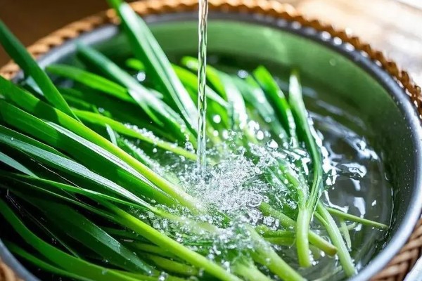 怎么洗韭菜,使用流水将韭菜冲洗干净