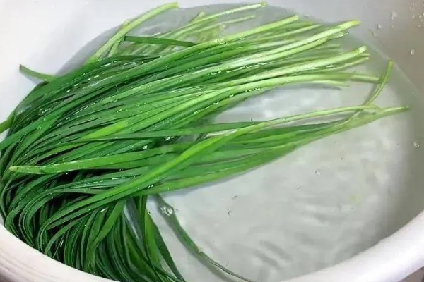 怎么洗韭菜,使用流水将韭菜冲洗干净