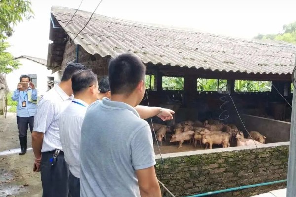 畜禽养殖污染防治管理办法的相关内容,畜禽养殖场需登记排污申报工作