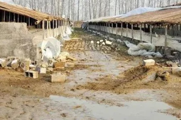 畜禽养殖污染防治管理办法的相关内容,畜禽养殖场需登记排污申报工作