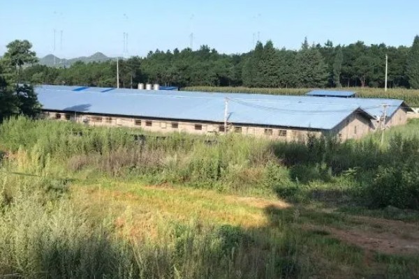 畜禽养殖污染防治管理办法的相关内容,畜禽养殖场需登记排污申报工作