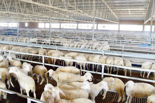 畜禽养殖污染防治管理办法的相关内容,畜禽养殖场需登记排污申报工作