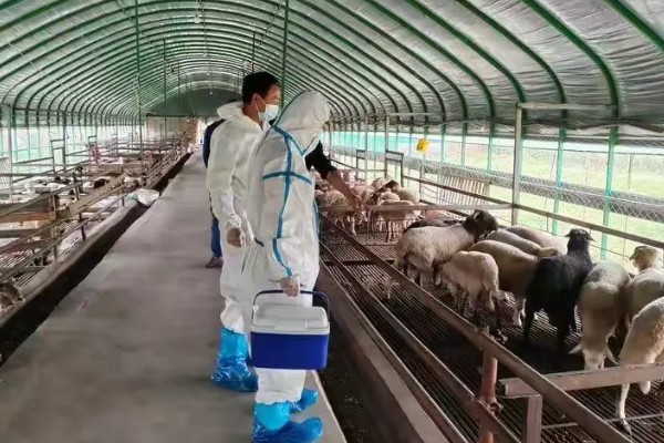 畜禽养殖污染防治管理办法的相关内容,畜禽养殖场需登记排污申报工作
