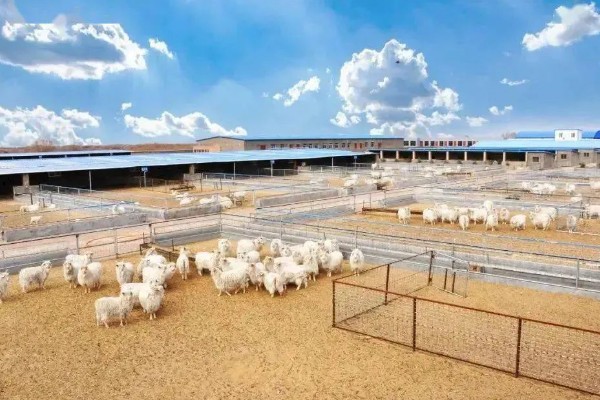 畜禽养殖污染防治管理办法的相关内容,畜禽养殖场需登记排污申报工作