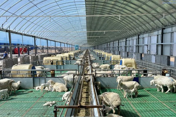 畜禽养殖污染防治管理办法的相关内容,畜禽养殖场需登记排污申报工作