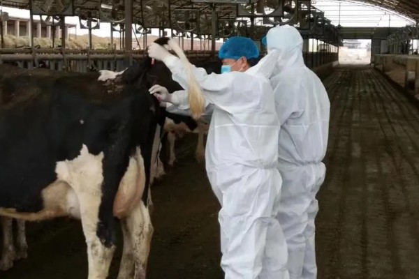 畜禽养殖污染防治管理办法的相关内容,畜禽养殖场需登记排污申报工作