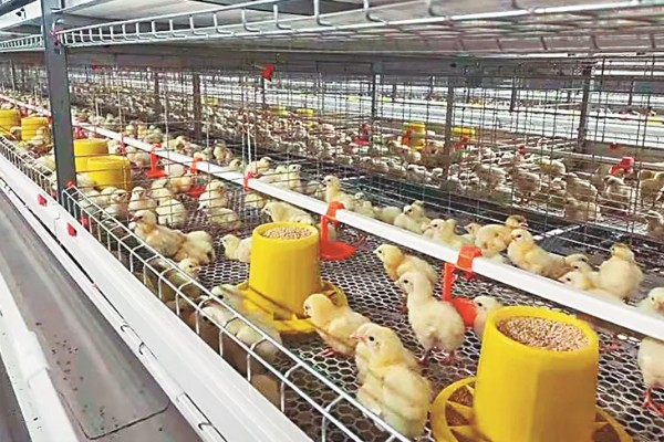 畜禽养殖污染防治管理办法的相关内容,畜禽养殖场需登记排污申报工作