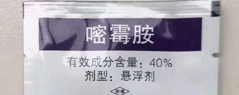 使用嘧霉胺要注意什么，穿戴防护手套和防护服