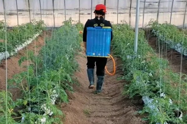 使用嘧霉胺要注意什么,穿戴防护手套和防护服
