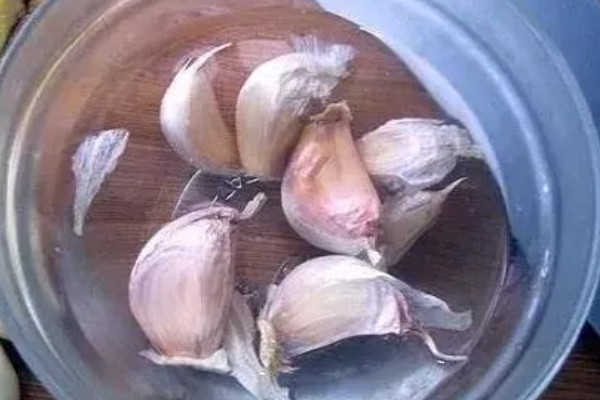 大蒜秋季种植时间，长江流域及以南地区适合在9月份播种