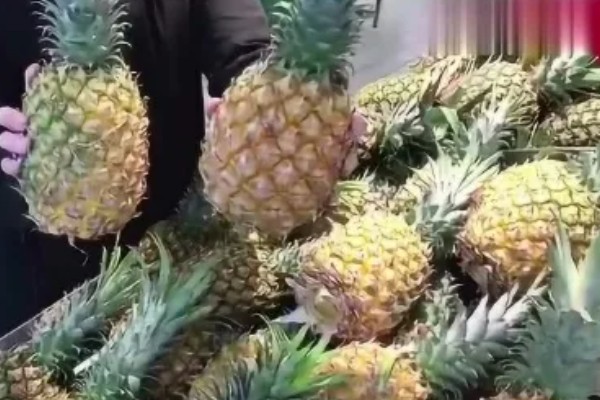 哪些菠萝品种很常见,台农16号、台农17号等品种常见于市场