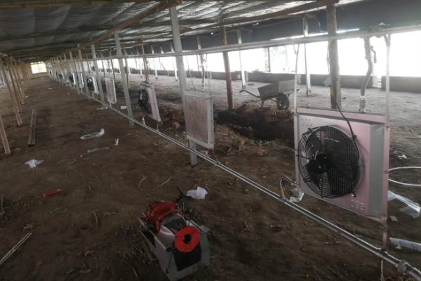 降低养鸡成本的方法，使用节能灯更加省电