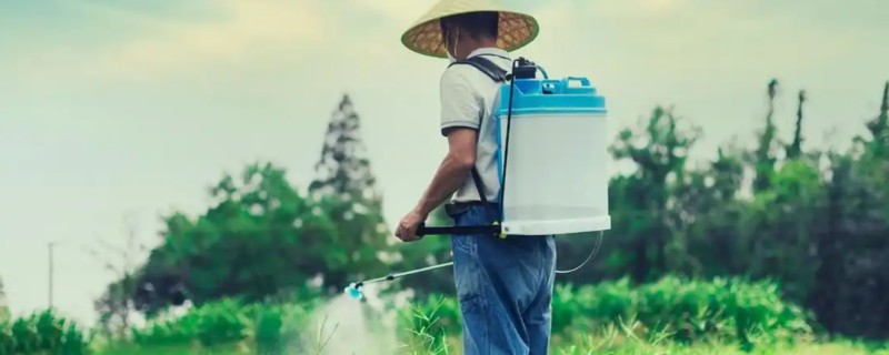 麦草畏会不会影响下茬作物，通常不会对下茬作物造成影响