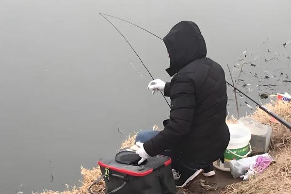 冬季钓大板鲫的技巧，最佳时间是中午