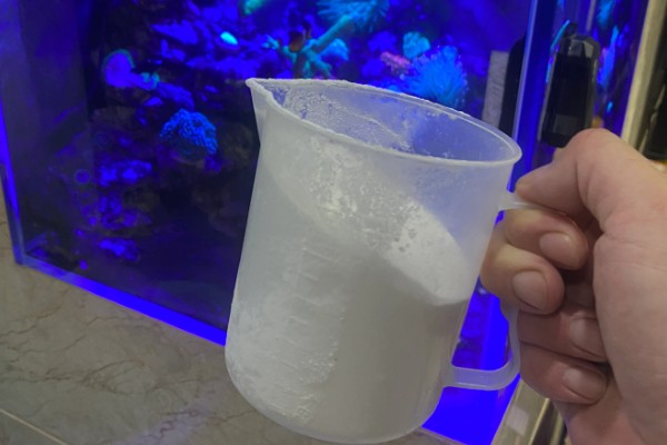 养鱼养单不养双的原因，养2条容易打架