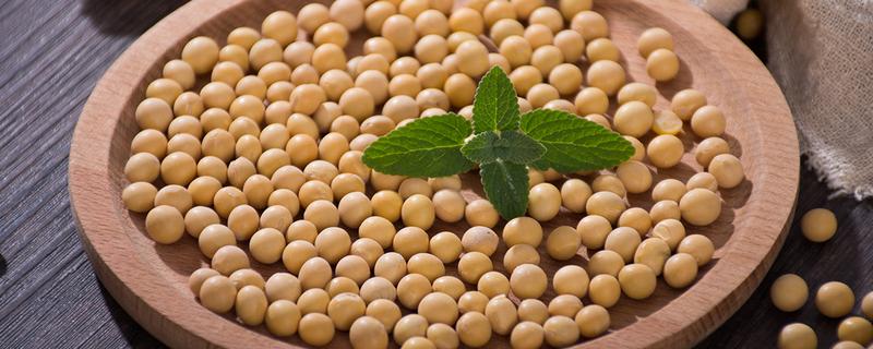 皖豆66大豆种子简介，高抗花叶病毒病3号株系